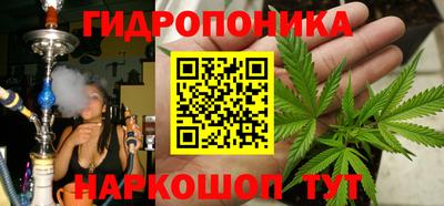 сатива Дубна