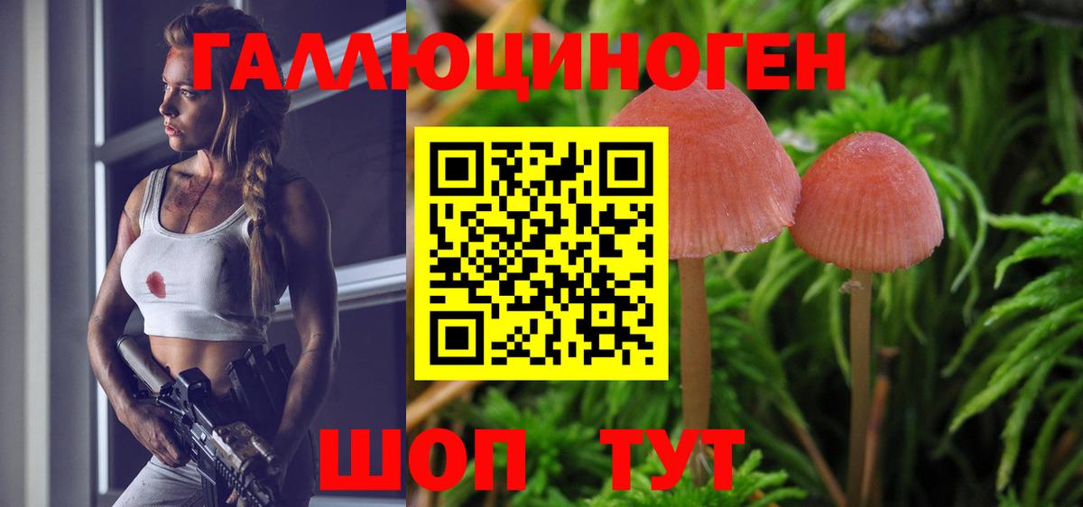 Псилоцибиновые грибы GOLDEN TEACHER  Вход с VPN  Псилоцибиновые грибы Magic Shrooms  Мичуринск 