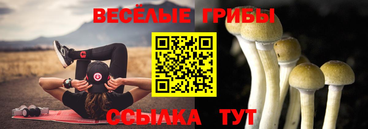 Галлюциногенные грибы ЛСД Мичуринск
